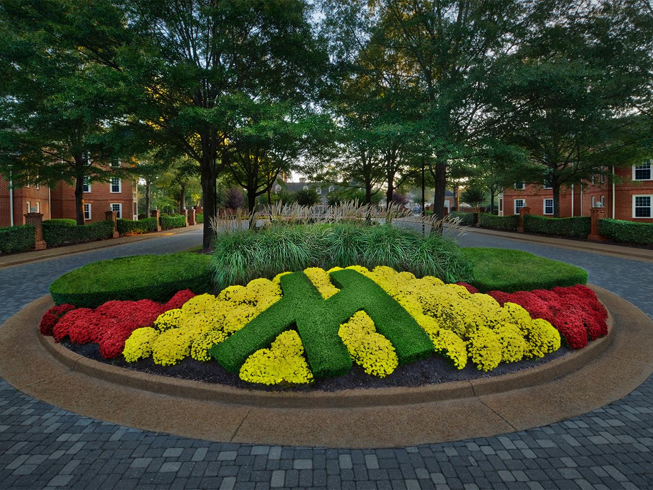 Resort Grounds